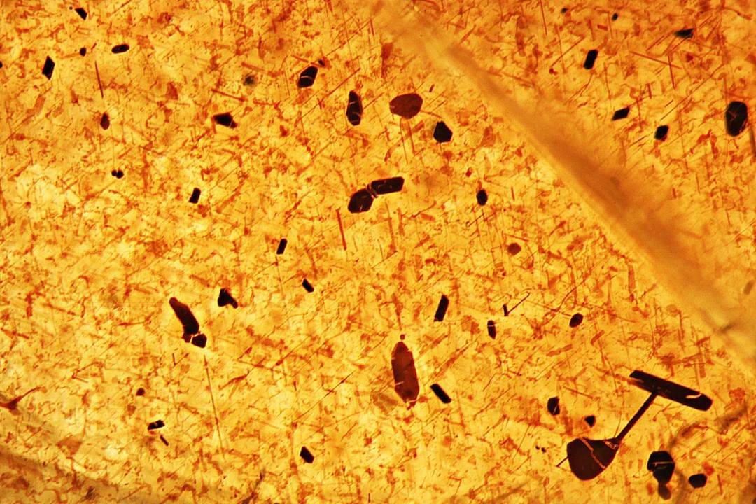 Dense field of hematite and ilmenite inclusions filling the field of view under magnification