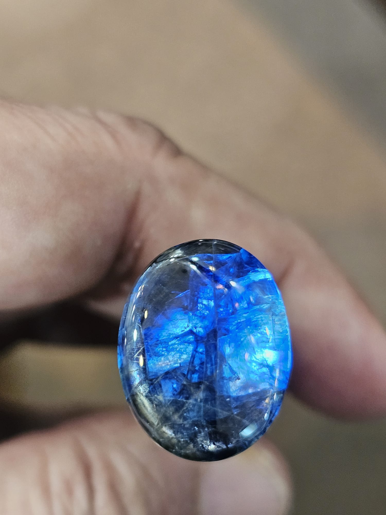 Macro photograph of a blue gold sheen sapphire cabochon showing sheen banding, held between fingers