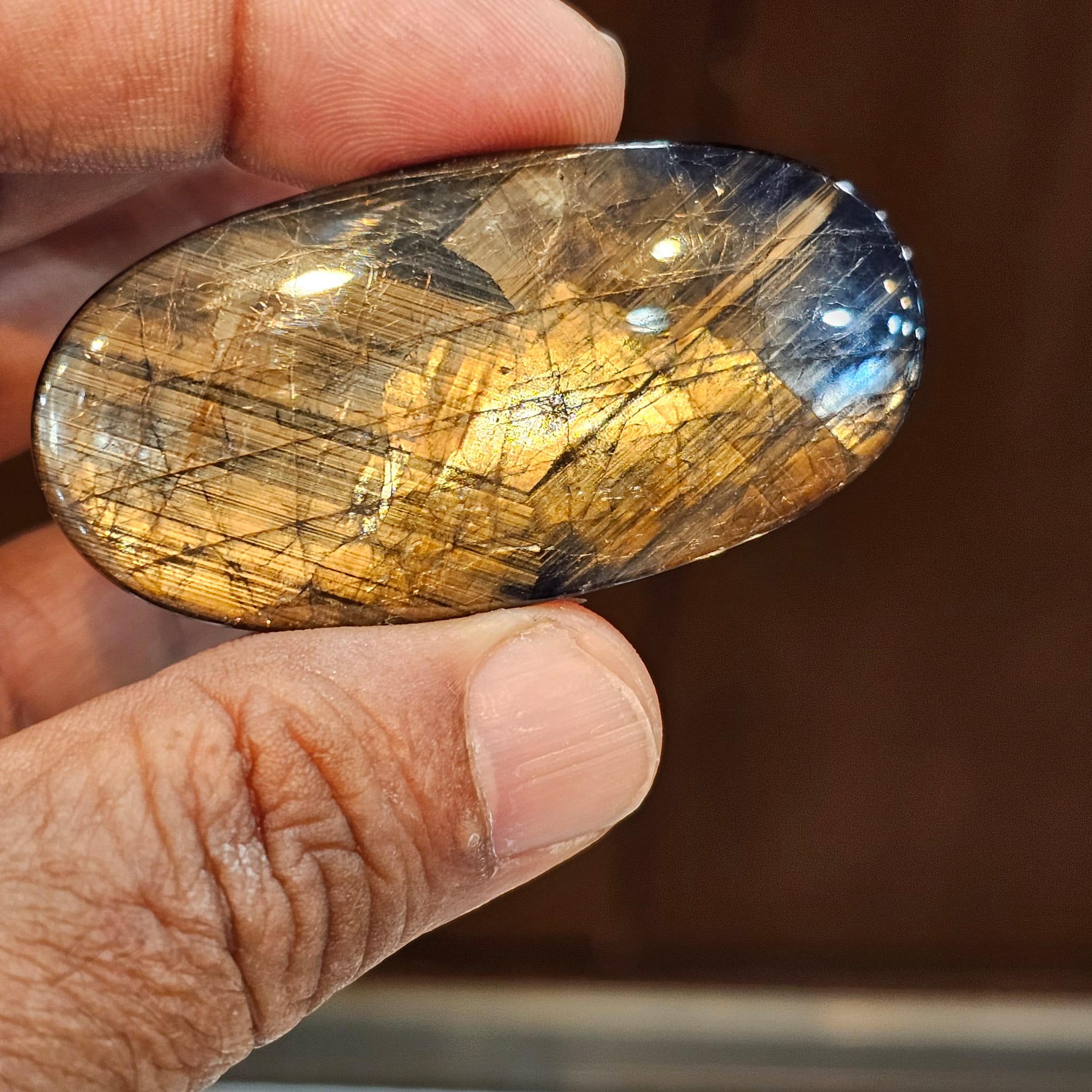 Large elongated gold sheen sapphire cabochon with fine parallel silk, held between two fingers